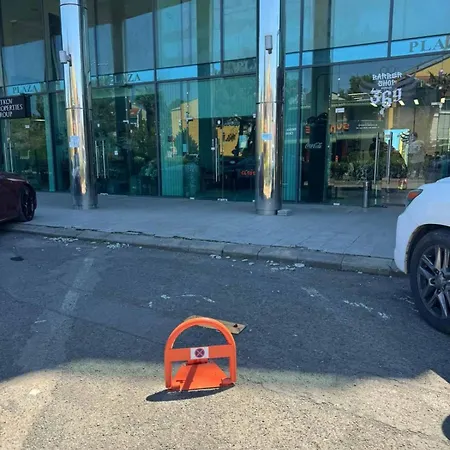 Sunny Plaza Celebrity *